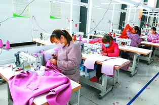 丹陽聯(lián)村黨委實(shí)踐 圍繞主導(dǎo)產(chǎn)業(yè)發(fā)展集體經(jīng)濟(jì)，提升農(nóng)副產(chǎn)品競爭力