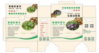 提升農(nóng)副產(chǎn)品附加值 特產(chǎn)水果包裝彩箱的設(shè)計(jì)與營銷策略